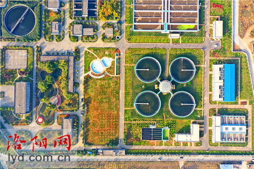 洛陽(yáng)新區(qū)污水處理廠二期擴(kuò)建工程綠化完工
