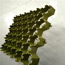 清遠(yuǎn)塑料植草格廠家 以專業(yè)品質(zhì)，助力綠色生態(tài)建設(shè)